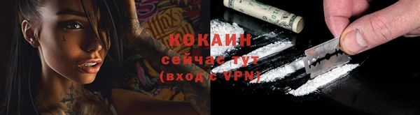 крисы Аркадак