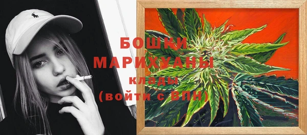 крисы Аркадак