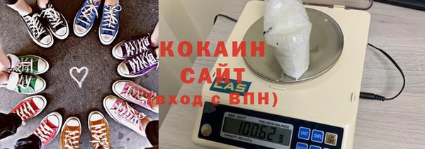 индика Нефтегорск