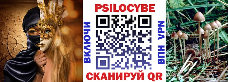 где купить наркотик  Моздок  Галлюциногенные грибы ЛСД 